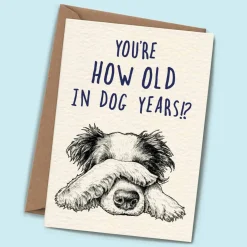 Bewilderbeest You're How Old in Dog Years Greetings Card